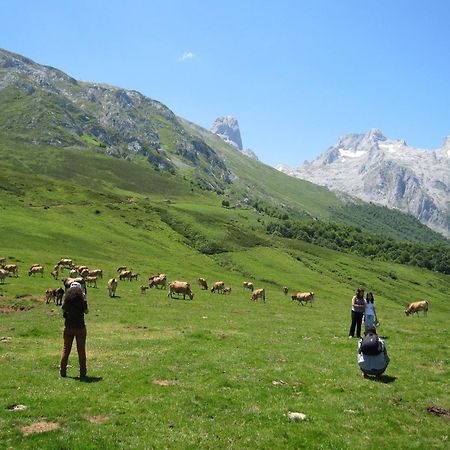 Hosteria Picos De Europa Potes Exterior foto